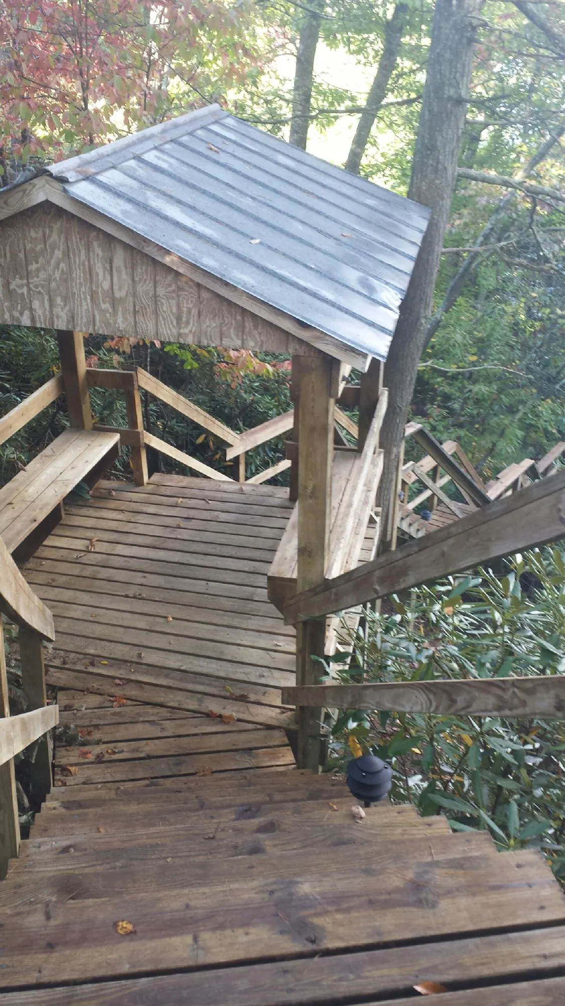 Metal roofed shelter over wooden steps on a wooded walkway — Skylight Repair & Installation work by our crew in Mayview